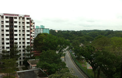 Blk 158 Mei Ling Street (Queenstown), HDB 3 Rooms #177062152